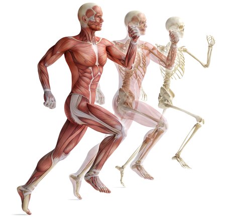 Running injury website for runners - extensive, up-to-date information written simply - for those without a PhD!