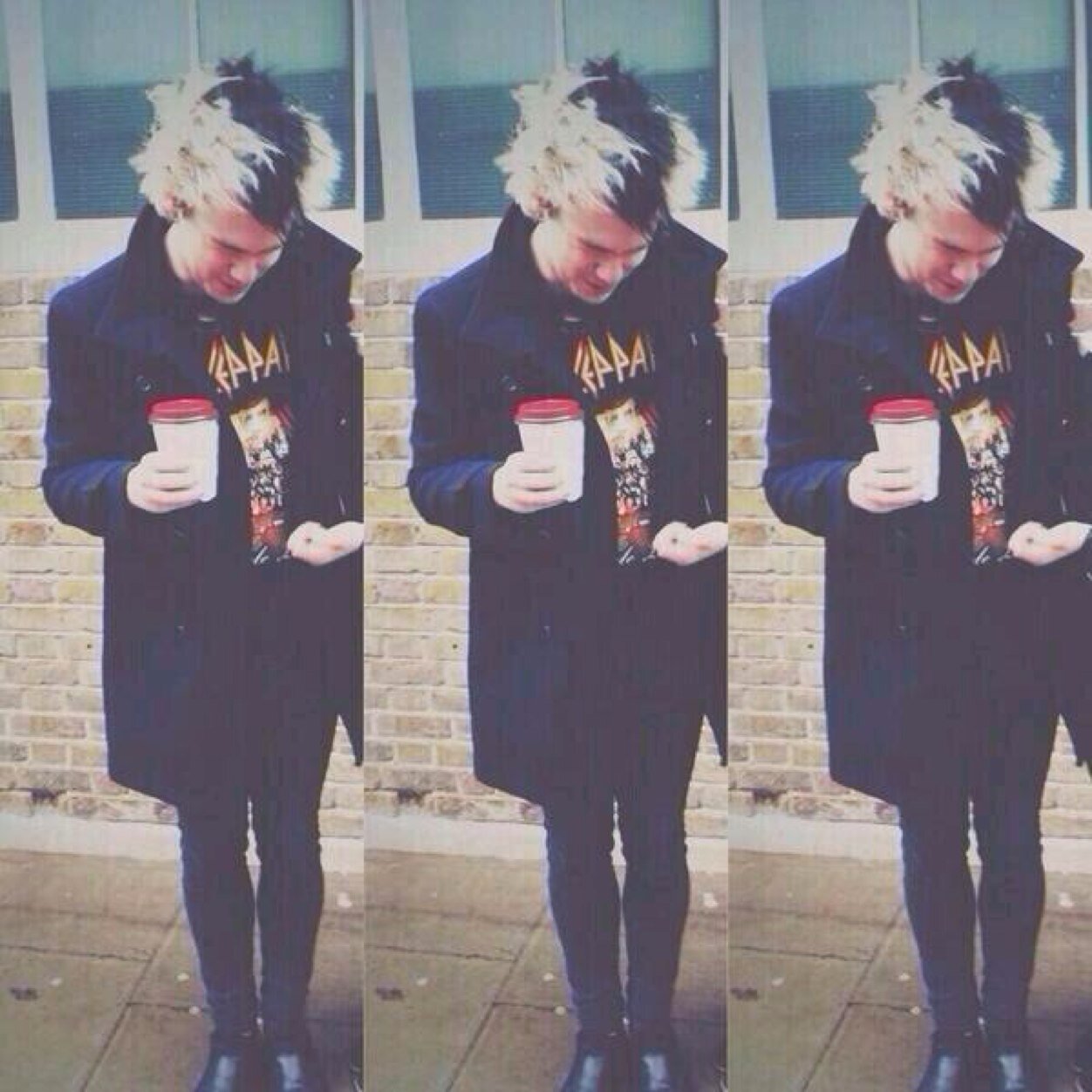 Follow @sassafraszouis please
