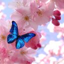 Marybeth Ramírez - @98Marybeth - Twitter