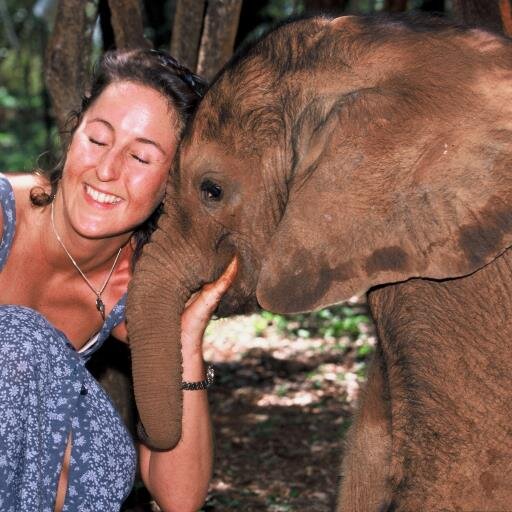 Wildandinspired's profile picture. Creative communications, Editor, nature lover, sheep whisperer, passion for all things wild and inspired!