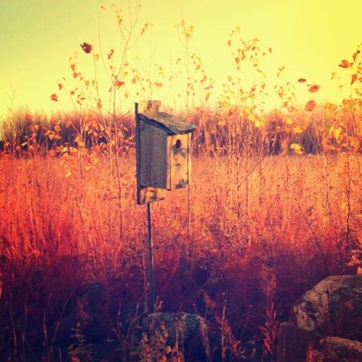 smalltownmass's profile picture. A celebration of life beyond the city.