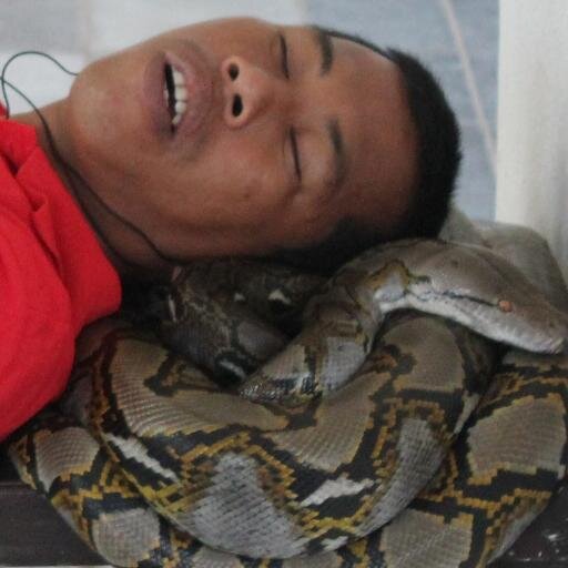 He who sleeps with snakes must be wary ? Image copyright of http://t.co/xPC9A00OBc  Speak as you find, whoever, whenever, whatever? My opinions good or bad