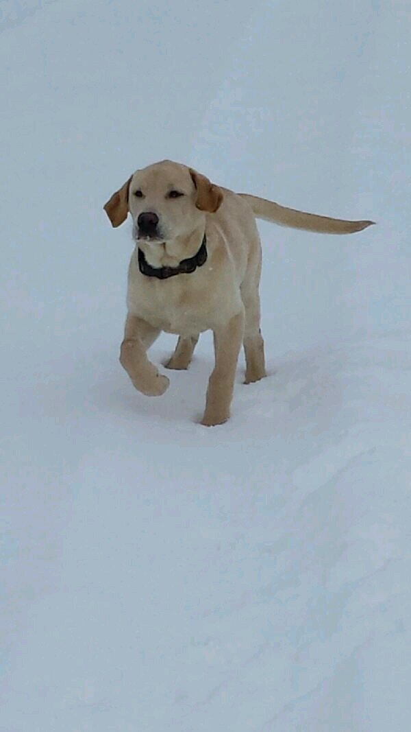 dcrumly2861's profile picture. 