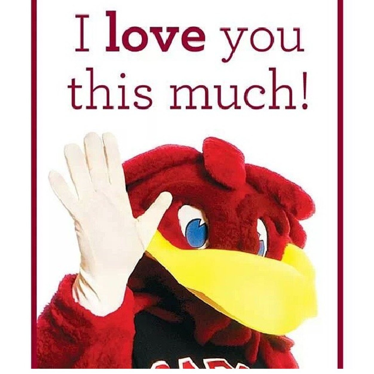 Southern by Birth, Gamecock by the Grace of God!!! Yes my avi is actually me!! I dont go anywear without my boots or sweet tea. I'm a nursing major!