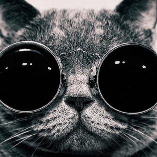 live the kind life...