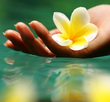 crasota's profile picture. Идя навстречу вашим просьбам, дорогие друзья, я публикую здесь анонсы своих записей, размещённых в блоге «Шкатулка важных мелочей».