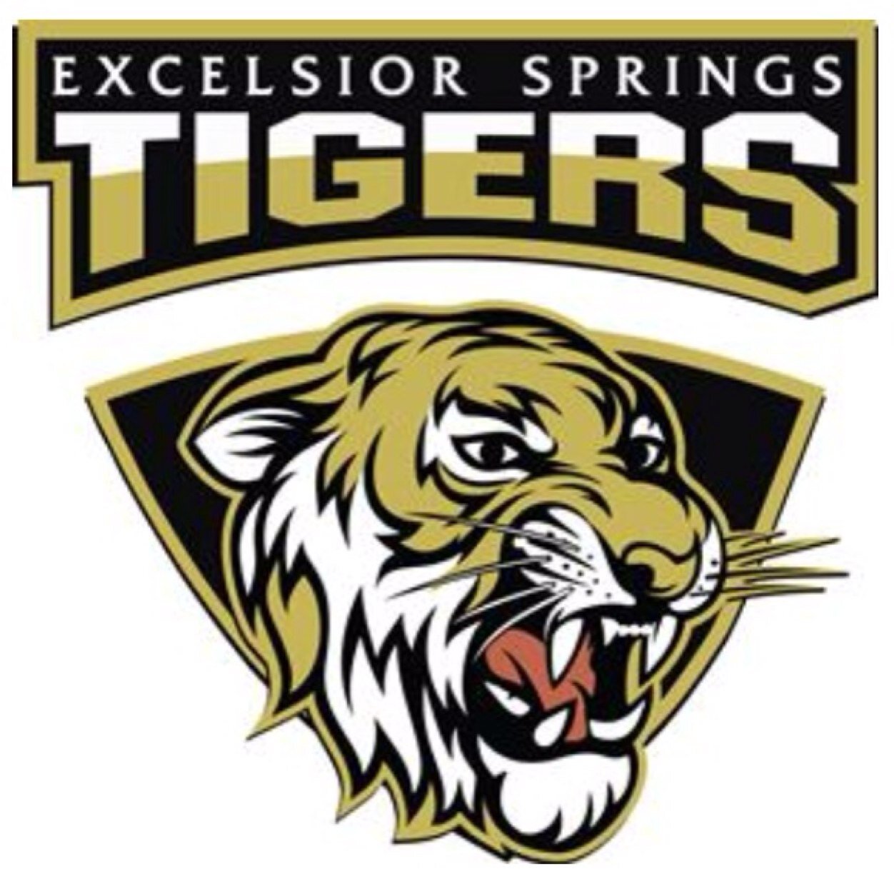 Official site of Excelsior Springs High School Activity Department