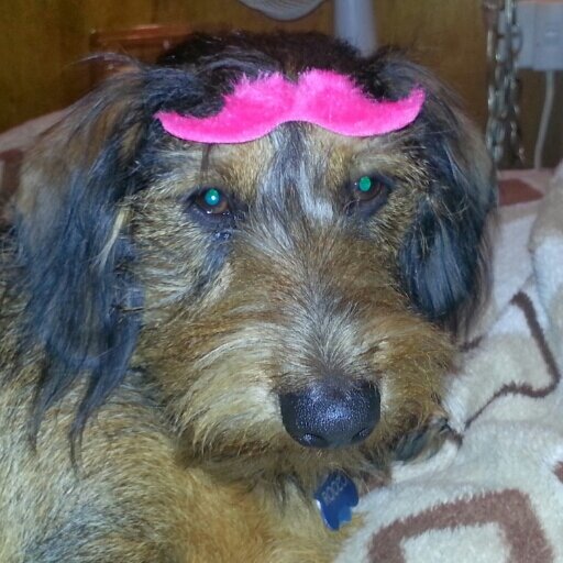 HappyLyft's profile picture. 