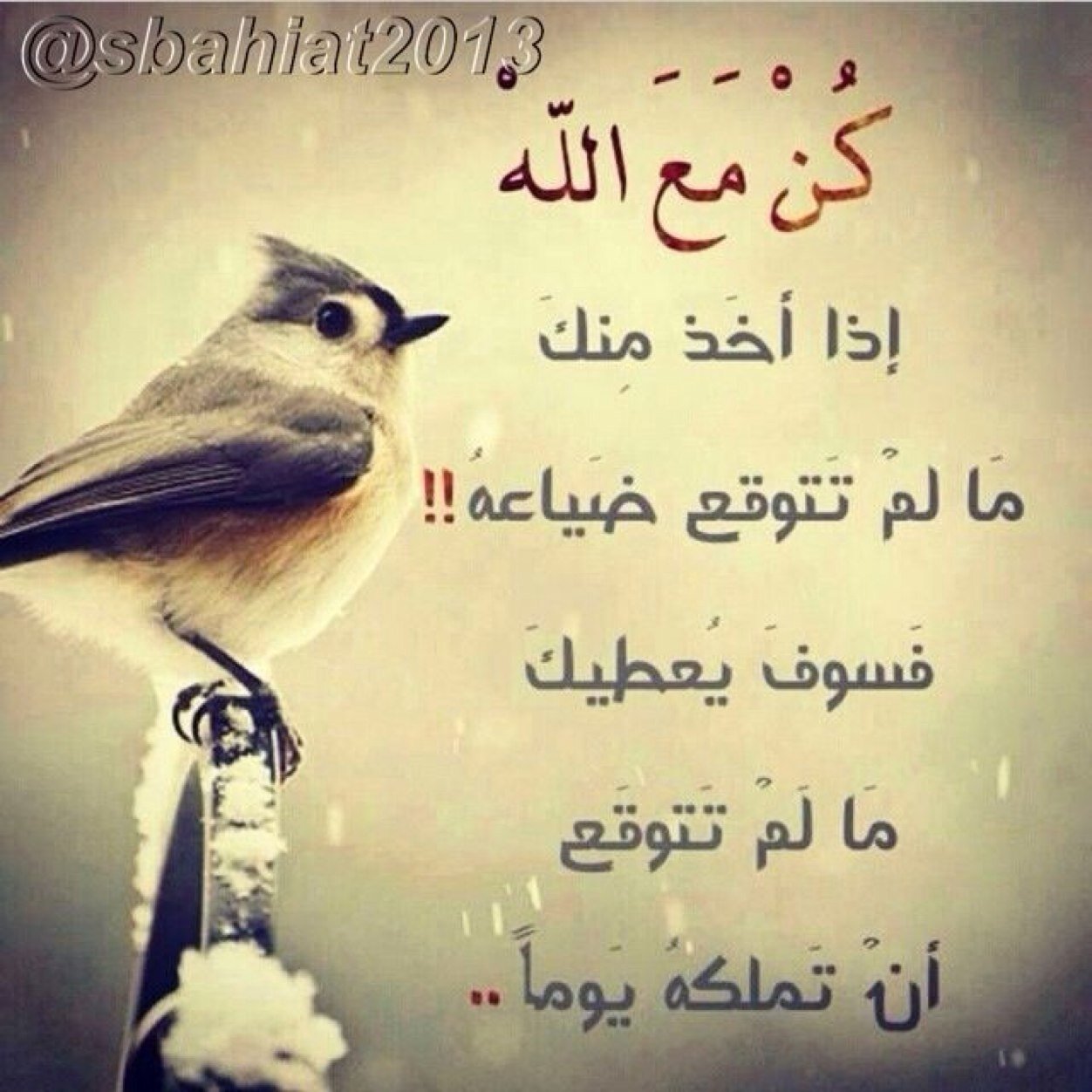 اكره الظالم ولوكان من اقرب الناس لي