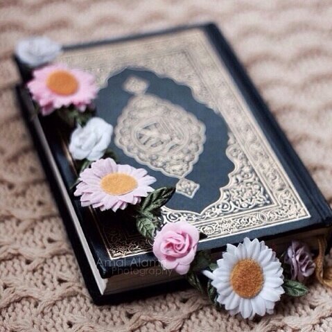 ‏‏‏‏‏ان ‏لم تجدوني يوماً فـ امطروني بدعواتكم ♥ لا إلہ إلا اللَّـہ ..❥