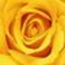 Jan Springer - @Mom_and_CPA - Twitter