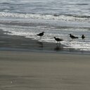 darren morley - @silveri3091 - Twitter