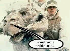 TheRyelander's profile picture. 