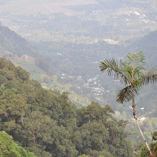 El Municipio de Pitalito, es la segunda ciudad del Huila con 150 mil habitantes. Primer productor café en Colombia y corazón del Macizo Colombiano