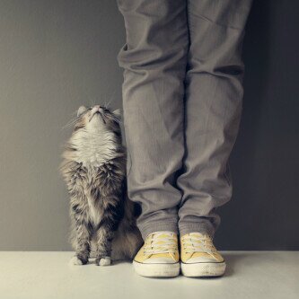 Bedor_2000's profile picture. حياة طيّبہ ؟ حين نذكر الله كل يوم ♡.