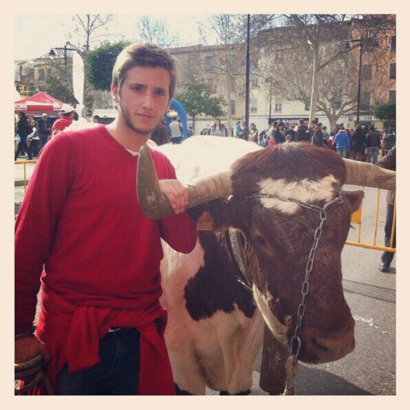 CairolSanti's profile picture. 