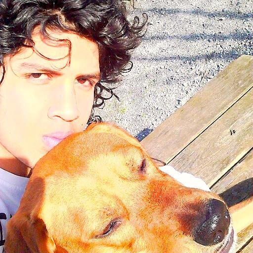 GUILLERMO___O's profile picture. Escribo todo lo que pienso o lo quiero que pienses de mí.