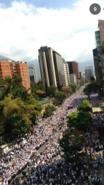 kakevicentini's profile picture. 