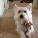 Norma borja - @NormaBorjanorma - Twitter