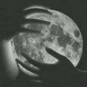 daniel court - @revolucionexp - Twitter