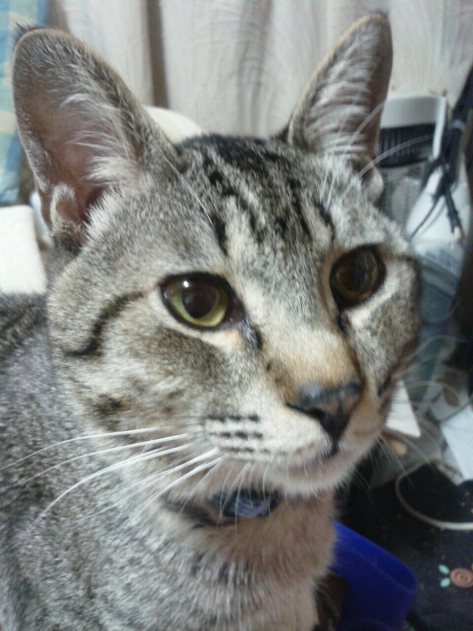歌うの大好きおじさん(^o^)