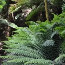 Rafaela Suarez - @mrsuarez19 - Twitter