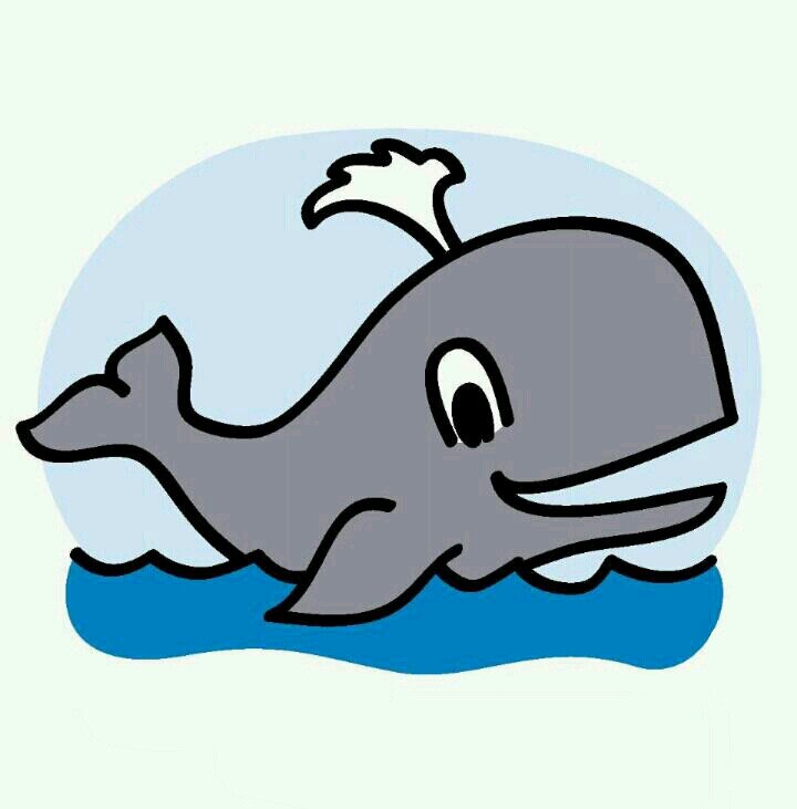 WhaleFactsDaily's profile picture. 100% true facts about whales backed by scientifical research and doctor professors