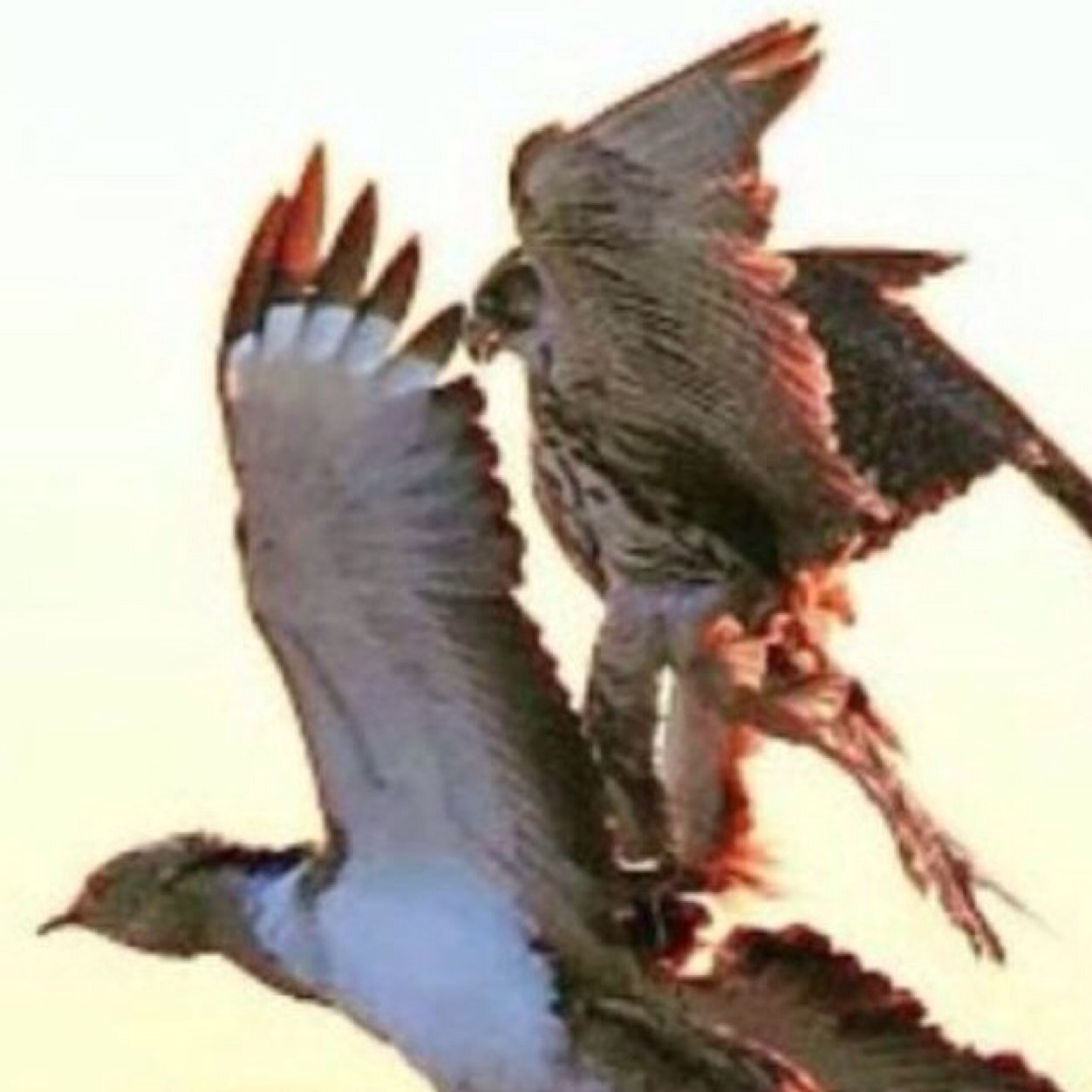 اللهم لاتدع ذنبا لوالدي الا غفرته ..... اللهم أمي ومن دون ذلك هين