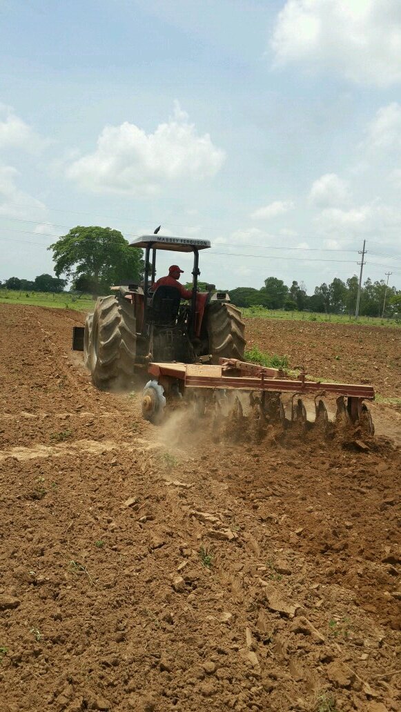 gavilaangarita's profile picture. Ingeniero Agrónomo