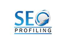 We are a professional SEO company who can increase the rankings of any UK company.