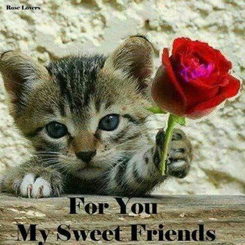 Polka00's profile picture. 