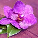 barbara natali - @gatita_barbara - Twitter