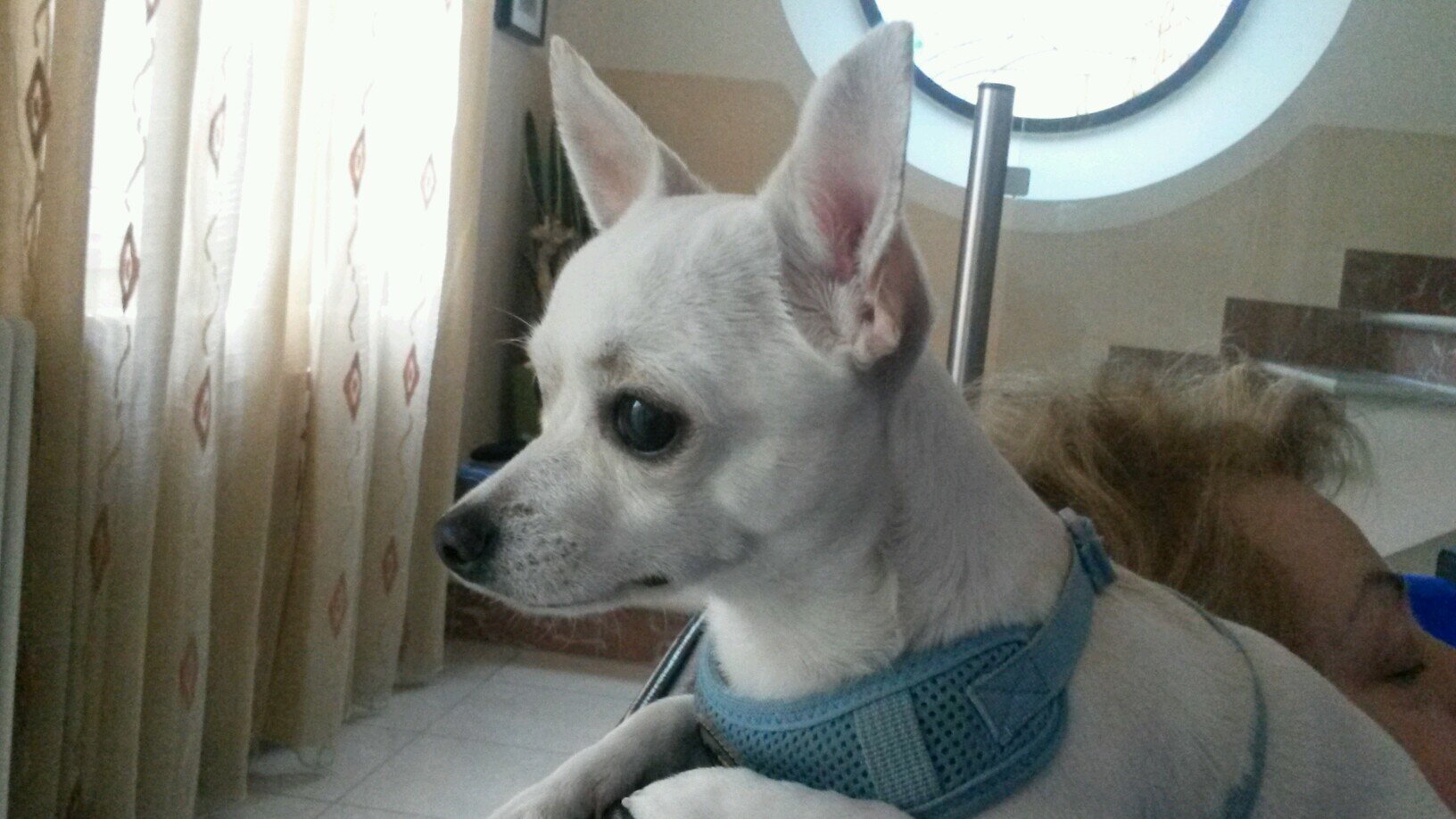 silviabartolin8's profile picture. 