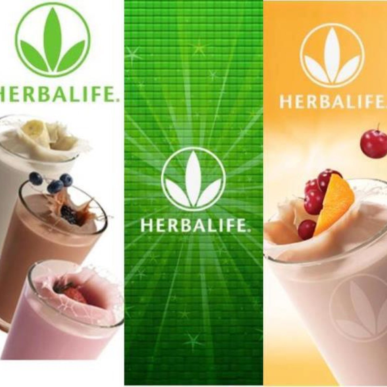 HerballifeLewis's profile picture. Weight loss? Muscle gain? All round healthy lifestyle? Look know further.. #HERBALIFE is for you!