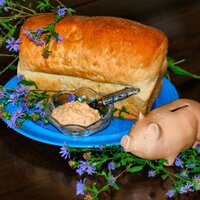 ECSwenson (@artisanlard) 's Twitter Profile