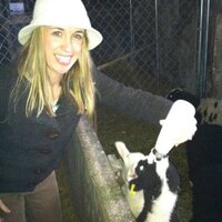 Kate Belair (@kdbelair) 's Twitter Profile