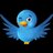 TeamFollowBachZ's profile image