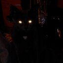 Corrina Lynn Berry - @BerryCorrina - Twitter