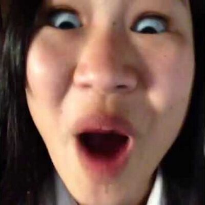 おおぜきれいかのvinebot Reikavin Twitter おおぜきれいかのvinebot Reikavin Twitter