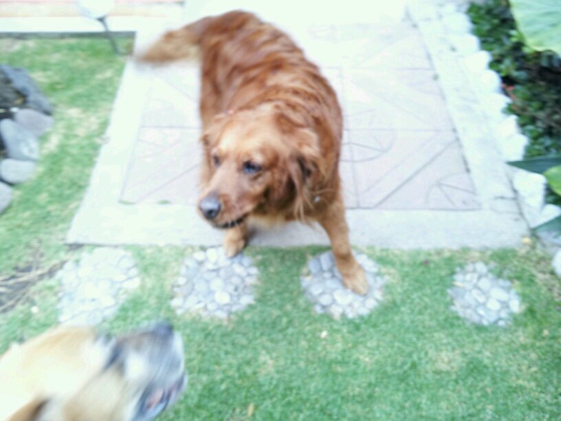 jhiramalberto's profile picture. en caminado muchas veredas y caminos, conozco gran parte del mundo y de historia, pero, no he encontrado la verdad, seguire buscando