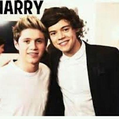 DIRECTIONER FOREVER I LOVE HARRY AND NIALL