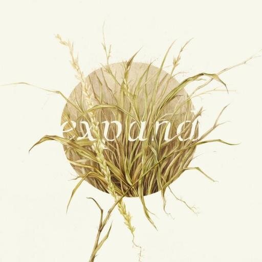 mynameistyree's profile picture. Eschatological Revolutionary. I live to create media content provoking progressive change in human thought.