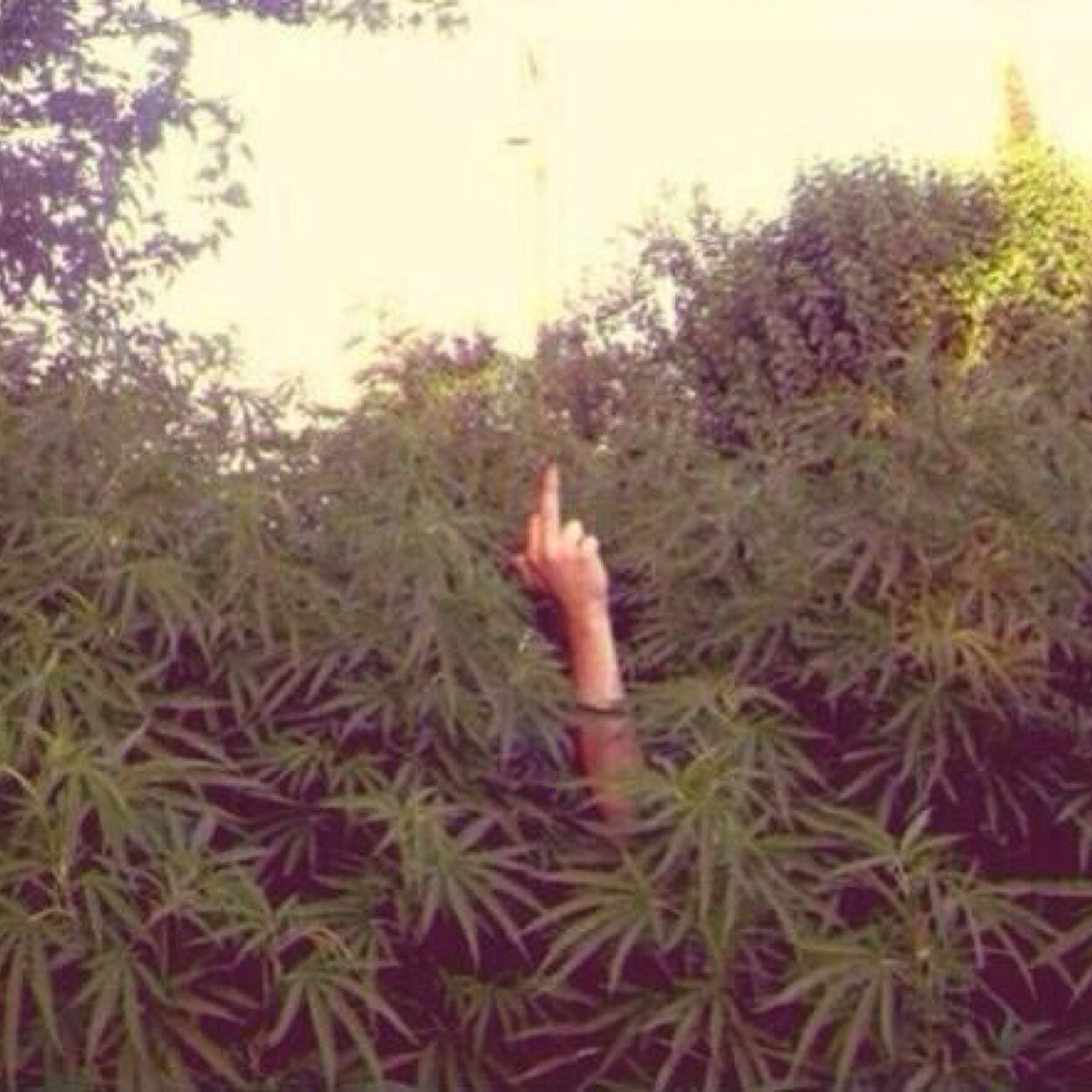 Lets get together and feel alright