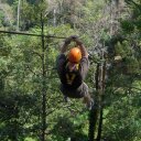 Whitney Baird - @whatupwhitb - Twitter