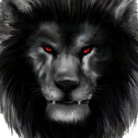 Volg #BlackLions.And natuurlijk shoutout to @xSweety_Jennox and @LoveeThisshit.