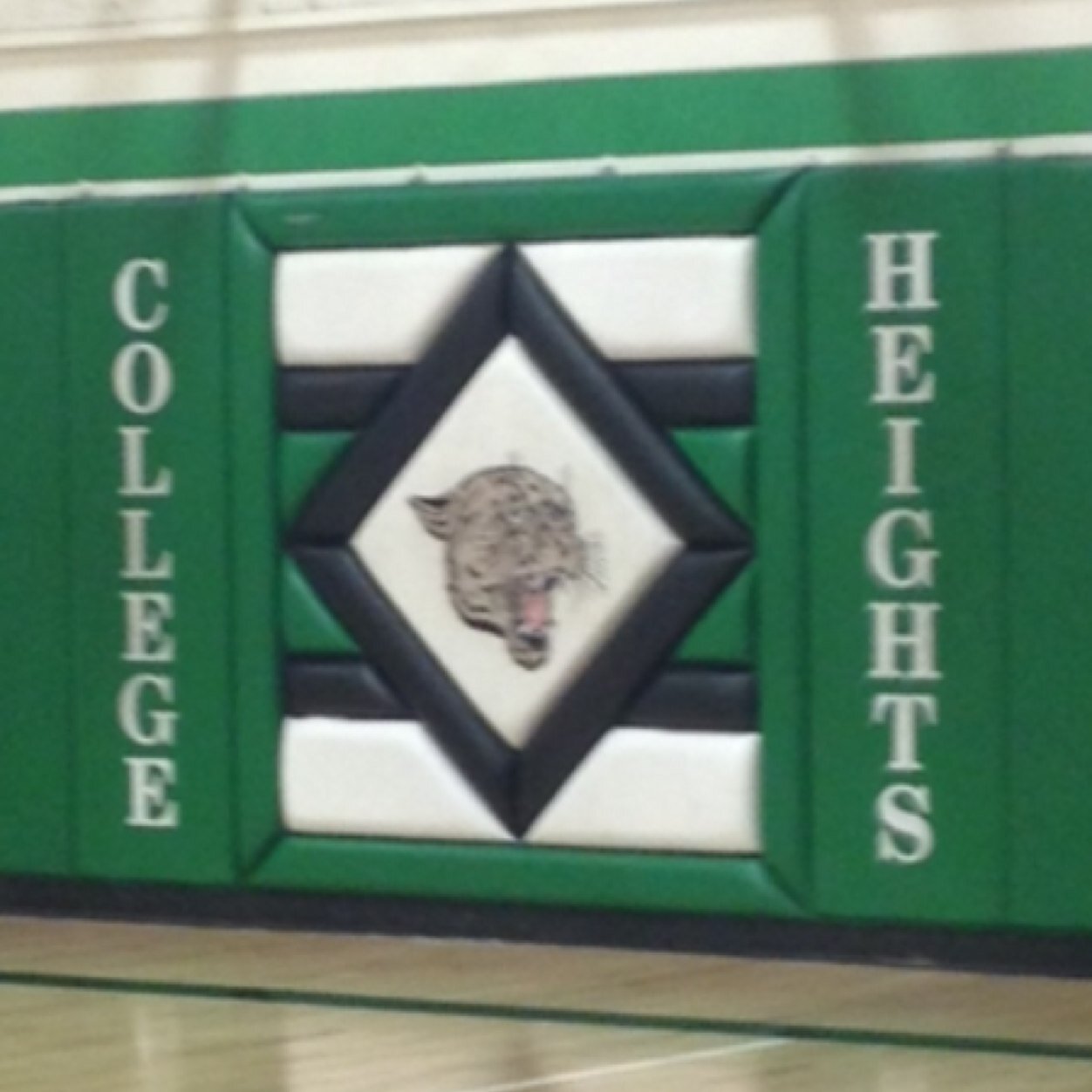 CHCS_confesses's profile picture. 