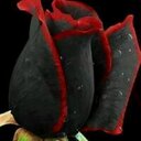 alberto luis piñeiro - @albertoluispiei - Twitter