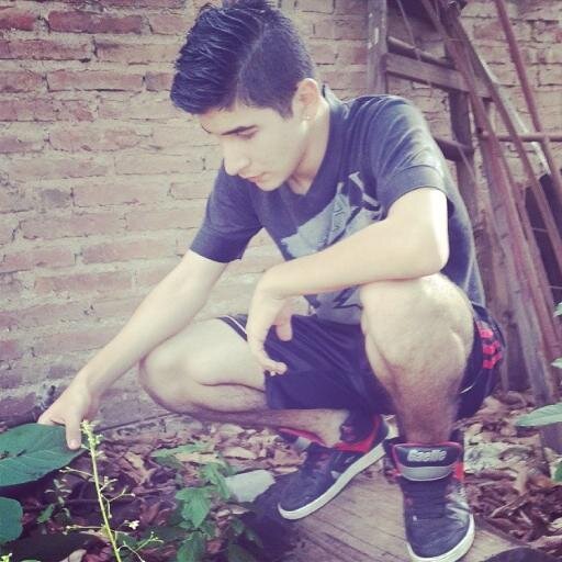 Se habrán dicho muchas cosas, se habrán escrito muchos libros, pero mientras tu corazón no sienta nada, sabrás del amor verdadero.