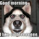 Loretta Reid - @40_reid - Twitter