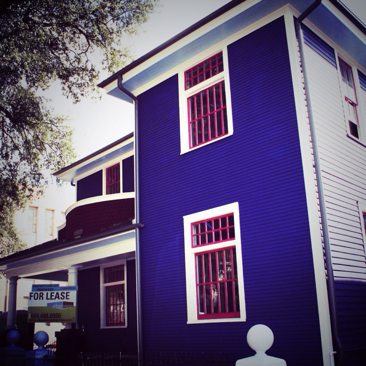 Your New Orleans neighborhood realtor.
